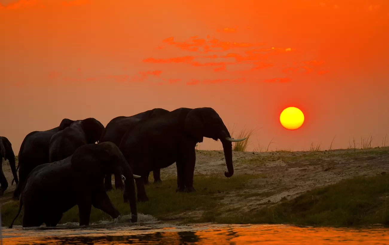 Best Time to Visit Tanzania: A Month-by-Month Travel Guide