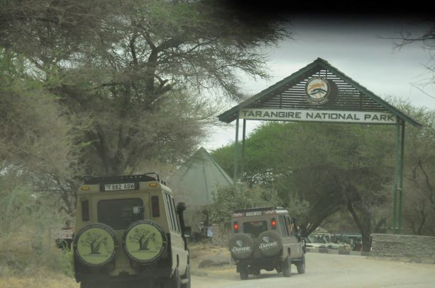 Are Tanzanians Friendly? A Complete Guide for Tourists