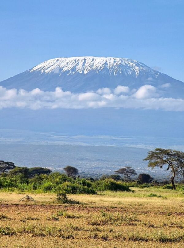 Mount Kilimanjaro (1)