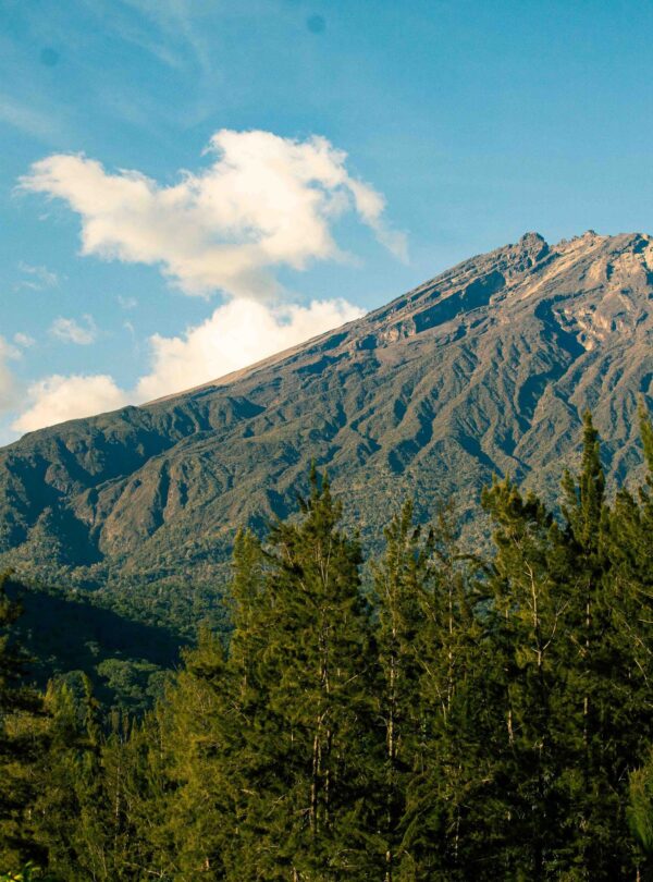 View_of_Mount_Meru_Arusha