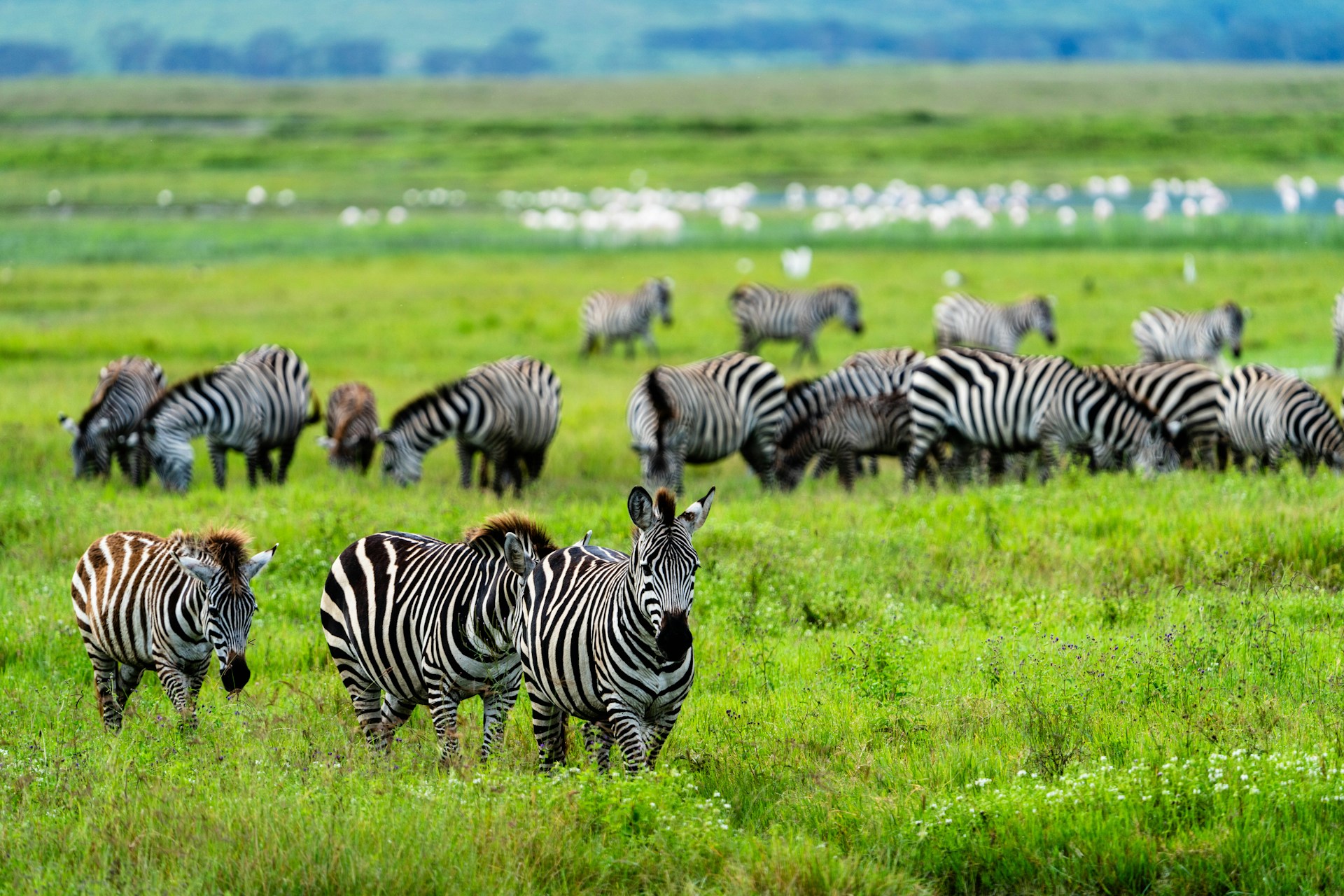 What to Wear on a Tanzania Safari: Ultimate Safari Style Guide