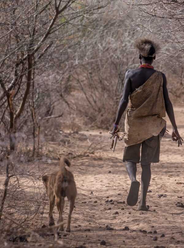wilderness-adventure-wildlife-2013-tanzania-safari-266142-pxhere