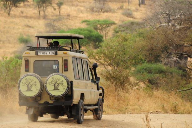 What to Wear on a Tanzania Safari: Ultimate Safari Style Guide